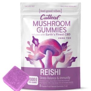 Reishi 1000MG Mushroom Gummies Zero THC